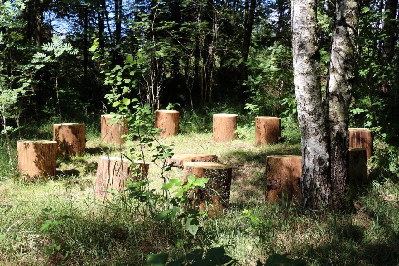Villa Viriditas Elbingerode  Kültér fotó